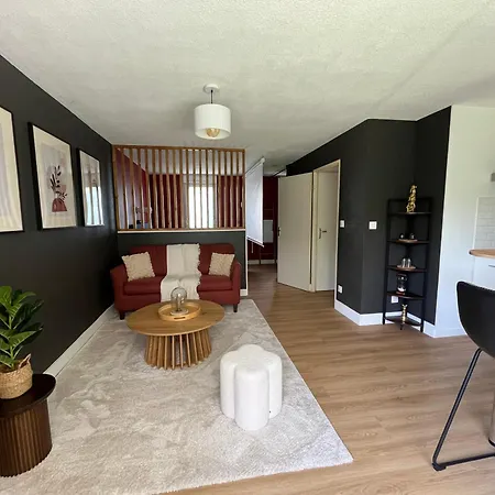 Rohmer Videoprojecteur Et Cocon Intimiste